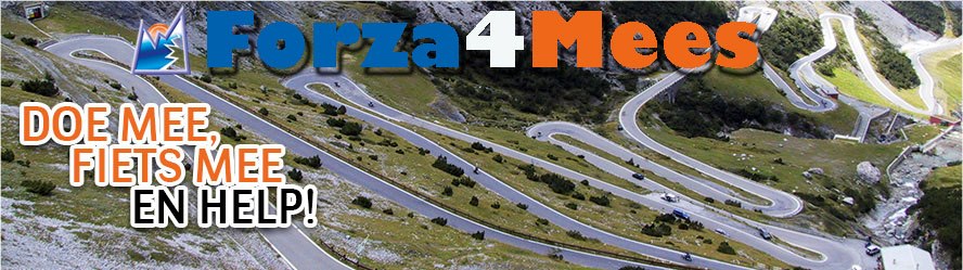 Facebook Forza4Mees
